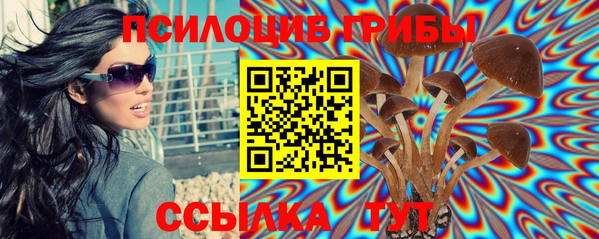Псилоцибиновые грибы Psilocybe Симферополь
