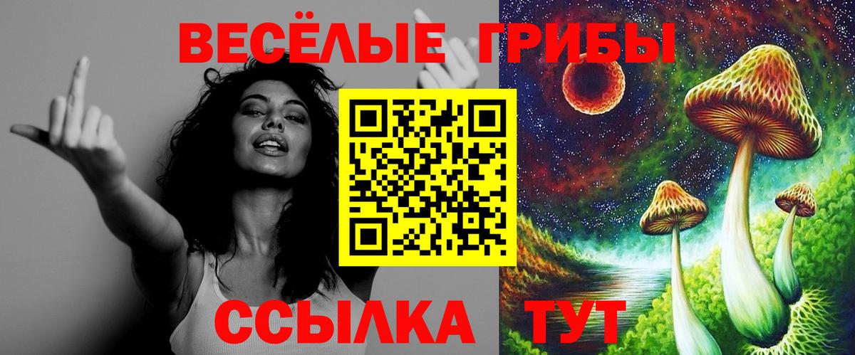 Псилоцибиновые грибы GOLDEN TEACHER  Вход с VPN  Симферополь  Галлюциногенные грибы Magic Shrooms 
